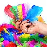 Bunte Federn, 300 Stück Bunte Natürliche Feder Naturfedern für DIY Handwerk,...