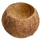 NaDeco Kokos Becher Ø 10-13cm | Kokosnuss Schale | Kokosbecher | echte Deko...