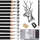 Surcotto Bleistift Set, 12 Zeichenstifte Set, 14B 12B 10B 8B 6B 4B 2B B HB H 2H...