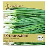 Samenliebe BIO Lauchzwiebel Samen Weiße von Lissabon 200 Samen samenfestes...