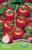 Germisem Tomate MONEYMACKER, mehrfarbig, EC8021