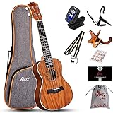 Winzz Ukulele Erwachsene Konzert, Ukulele Kinder 23 Zoll, Ukulele Anfänger Set...