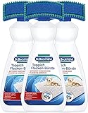 Dr. Beckmann Teppich Flecken-Bürste (3x 650 ml) | Teppichreiniger zur...