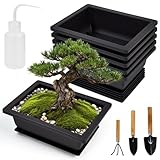 JNEYVIC 6 STK Bonsai Schale Kunststoff Bonsai Topf Pflanzschale mit Untersetzer...