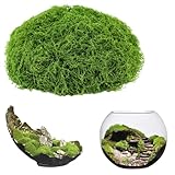 ddckj 200g Künstliches Moos Kunstmoos Zum Dekorieren Fake Moos Deko Kunstmoos...