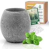 CozyNature® Sauna-Ei aus natürlichem Speckstein | ca. 7 x 6,5 cm| Sauna...