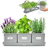 Green Thumbz 3 STK. Kräutertopf - Kräutertöpfe für Deinen Kräutergarten und...