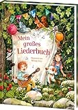 Mein großes Liederbuch: Wunderschön illustriertes Liederbuch für Kinder ab 2...