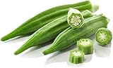 frische Okra Okra Schoten Bhamiya exotisches Gemüse 1 x 1 kg