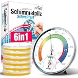 Schimmeltest + Thermohygrometer: Zum Check der Schimmelbelastung für bis zu 6...