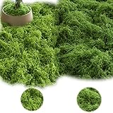 100g Kunstmoos zum Dekorieren,Kunstmoos zum Basteln,Künstliches Moos Deko...