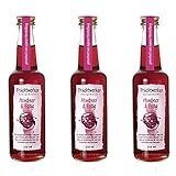 Fruchtwerker | Himbeer & Essig | Mit Saft aus echten Früchten | 3er Pack | 3x...