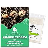 Futeco® – HB-Nematoden gegen Dickmaulrüssler & Engerlinge – für 5m²...