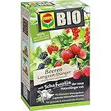 Compo Bio Beeren Langzeit-Dünger mit Schafwolle 750g