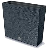 Prosperplast Blumenkasten mit Einsatz | aus robustem Kunststoff | Anthrazit |...