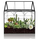 22cm Terrarium Glas Mini Terrarium Geometrisches Pflanzen Terrarium...