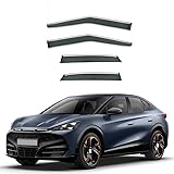 lixuejian 4 Stück Auto Windabweiser Regenabweiser,für Cupra Tavascan...