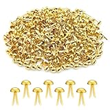 300 Stück Musterbeutelklammern Metall, Gold Rundkopfklammern 8 * 16mm, Mini...