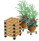 BigDean 5x Pflanzenroller eckig Buchenholz massives Holz 30 x 30 cm bis 120 Kg...