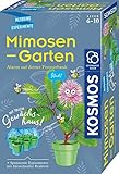 KOSMOS 657802 Mimosen-Garten, Pflanzen züchten und erforschen, Komplett-Set mit...