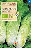 BIO Zichoriensalat Zuckerhut Samen - gut lagerfähig, robust und lecker -...