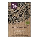 Guter Heinrich (Chenopodium bonus-henricus) 90 Bio-Samen Wilder Spinat