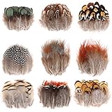 MWOOT Basteln Federn, 180er-Set Braun Grün Weiß Gelb Hahnenfedern, Deko DIY...