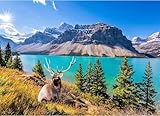 Puzzle 1000 Teile, Erwachsene und Kinder Puzzle 1000 Teile,High Difficulty...