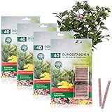 com-four® 160x Düngestäbchen - Blumendünger für Grünpflanzen und...