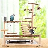 Vögel Spielplatz,Vogelspielplatz Mit Feeder Cups und...