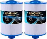 POOLPURE Spa Filter, Whirlpool Filter Replacement for Unicel 6CH-940, Pleatco...