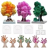 WEBEEDY 3 Setzt Kristallzucht Set Wissenschaftliche Experimente Zum Wachsen von...