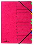 Pagna Ordnungsmappe Easy (Sammelmappe, 12 Fächer, 1-12) rot