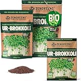 ZenGreens® - Bio Ur-Brokkoli Sprossen Samen - Wähle zwischen 10g, 200g und...