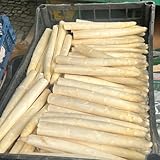 300 pcs Spargel Samen Bio - Spargelsamen - wintergemüse winterharte pflanzen...