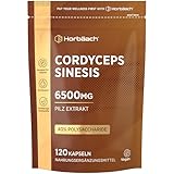 Cordyceps Kapseln Hochdosiert 6500mg | 120 Vegane Stk | Cordyceps Sinesis Pilz 10:1 Extrakt | Hochdosiert | Horbaach