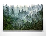 Atemberaubendes Leinwandbild Wald im XXL Format 120x80cm. Das Motiv...