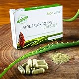 ALOEBETA Aloe Arborescens Kapseln Bio - 100% Bio Aloe Vera Kapseln - Made in...