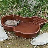 31 x 25 x 5 cm Große Reptilien Wasserschale, Schildkröten Wasserschal,...