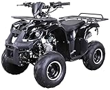 Actionbikes Motors Kinder Quad S-8 Farmer | 4 Takt 125 cc 7 kW Benzinmotor - Bis...