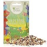 Wilde Weide: 10g Premium Wildblumensamen Mischung mehrjährig und einjährig -...