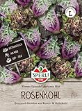 81180 Sperli Premium Rosenkohl Samen Flower Sprouts | Neuheit | Mischung aus...