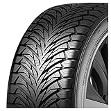 Austone 205/50 R17 93W SP 401 XL PKW Ganzjahresreifen