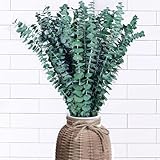 DINGHENG 14 Stück Eukalyptus Deko, Natürliche Eukalyptus Getrocknet Pflanzen...
