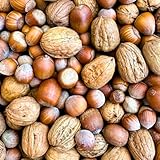 Supravit Frische Nüsse-Mix Eichhörnchen Futter 1kg | Futter für Eichhörnchen...