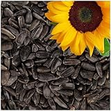 Lyra Pet® | 25 kg Sonnenblumenkerne Schwarz | Wildvogelfutter Ganzjährig |...