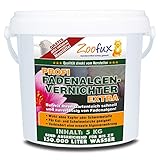 ZOOFUX Profi Gartenteich Fadenalgenvernichter EXTRA (Schneller Algenvernichter,...