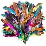 MHYMX Federn zum Basteln, 100 Stück Bastelfedern Bunte Federn Basteln...