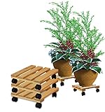 BigDean 3x Pflanzenroller eckig Buchenholz massives Holz 30 x 30 cm bis 120 Kg...