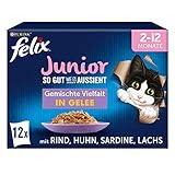 FELIX So gut wie es aussieht Junior Kittenfutter nass in Gelee, Sorten-Mix, 6er...